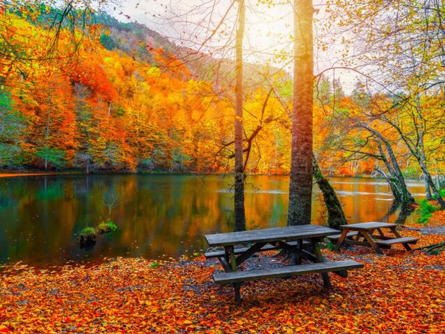 BATI KARADENİZ (YEDİGÖLLER-ŞİLE-AĞVA-MAŞUKİYE)