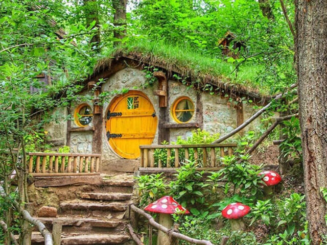 BATI KARADENİZ (YEDİGÖLLER-ŞİLE-AĞVA-MAŞUKİYE)